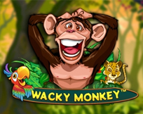 Wacky Monkey